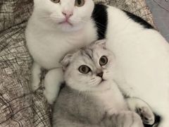 -北京博爱动物医院有限公司