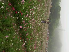 android_upload_pic-广州市石门国家森林公园