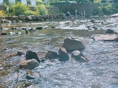 -北仑森林植物园