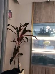 -爱儿美儿童摄影(朝阳公园店)