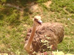 -石家庄市动物园