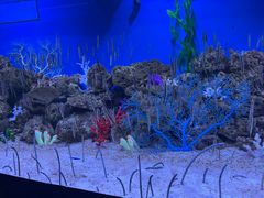 -成都浩海立方海洋公园