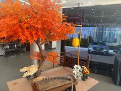 -奔驰利星行(北京花乡店)