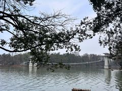 -东湖落雁景区