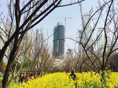 -西北湖绿化广场