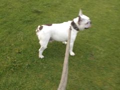 -北京拉斐特城堡酒店