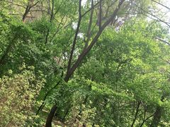 -黑龙江省森林植物园