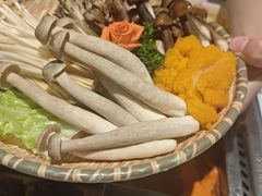 -海底捞火锅(凤凰广场店)
