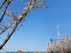 -钱塘江