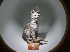 -陕西自然博物馆