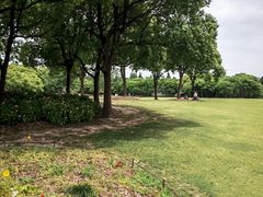 -上海滨江森林公园