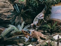 -国家自然博物馆