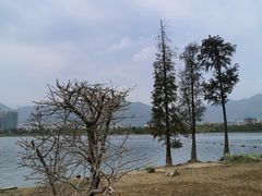 -飞来湖湿地公园