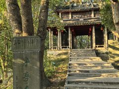 -溪口-滕头旅游景区