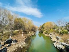 -贡湖湾湿地公园