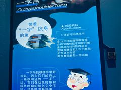 -海合安青岛极地海洋公园