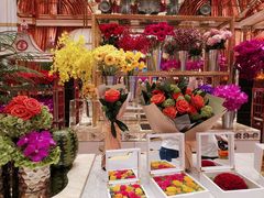 -咖啡苑 - 蔚藍夏日限定主题(永利皇宫店)