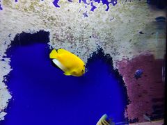 -江和美海洋公园