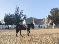 -玫瑰海岸文化旅游度假区