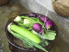 -全国青少年井冈山革命传统教育基地