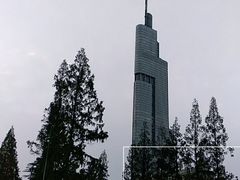 -紫峰大厦