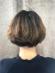-蚂蚁造型沙龙