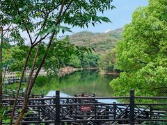 -白马涧龙池景区