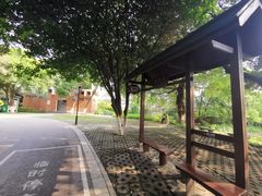 -雀儿山公园