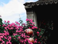 -老门东历史文化街区