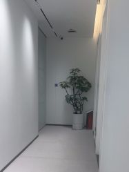 -玛莲朵·海菲秀冰珀科