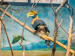 -济南野生动物世界