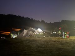-大塘金香草谷