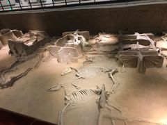 -洛阳周王城天子驾六博物馆