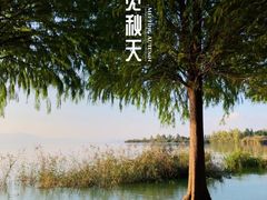 -捞渔河湿地公园