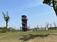 -春花秋色城市公园