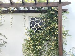 -苏州文庙(姑苏区)