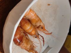 -乔街深夜食堂·台州菜·高压锅生蚝(杭州总店)