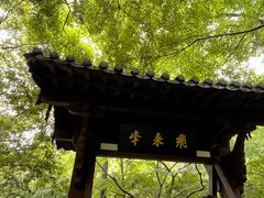 -春娟茶楼·地道农家菜(梅家坞店)
