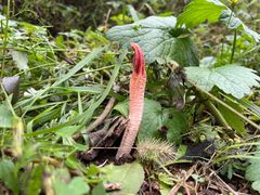 -蟠龙山长城景区