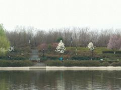 -西安汉城湖景区