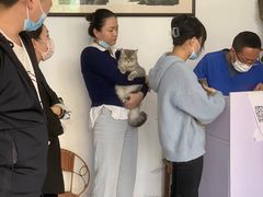 -灵美宠物诊所