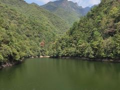 -遂昌金矿国家矿山公园