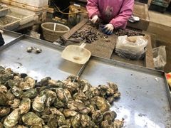 -渡海小渔村.老辈日照菜