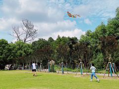 -上海共青森林公园