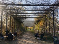 -安德鲁户外烧烤帐篷营地(马泉营店)