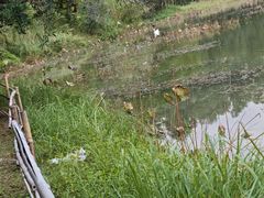 -福建鲤鱼洲酒店