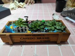 -奶油猫DIY·手工·团建·美陈搭建(宝山万达店)