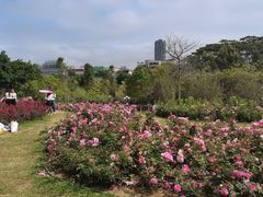 -深圳龙潭公园