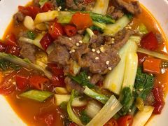 -曾牛肉