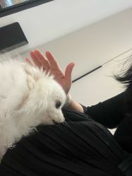 -晓V彩妆造型(大学路店)